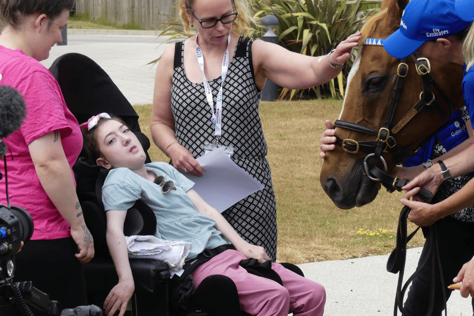 Ex-racehorse Papineau visits The Nook