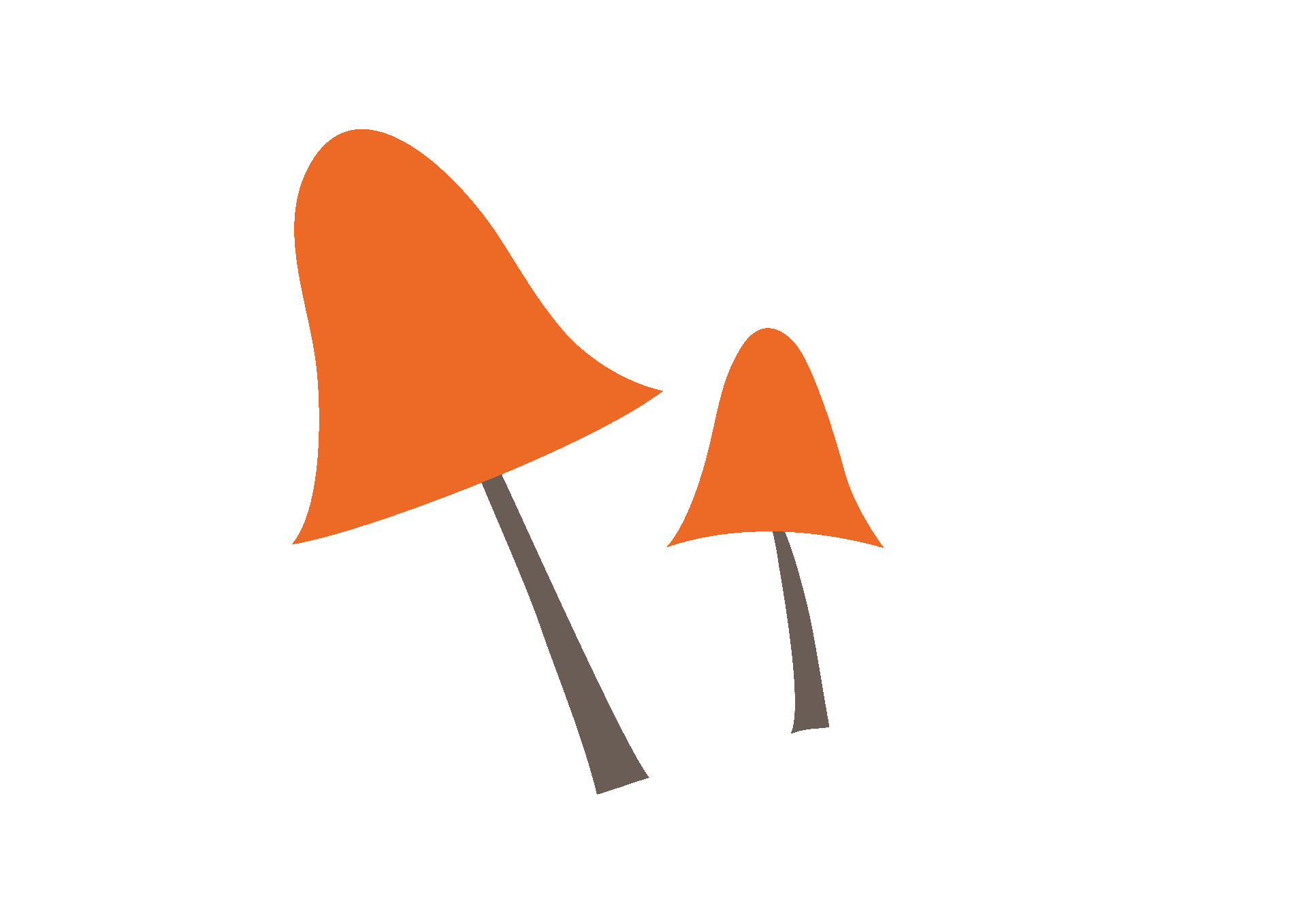 Summer Appeal Graphic 5 PNG