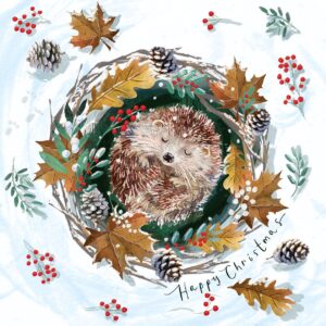 Hibernating Hedgehog