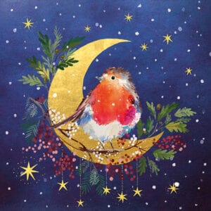 Robin in the Crescent Moon