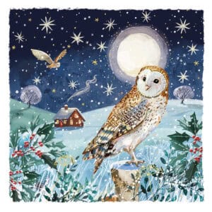 Winter Lookout