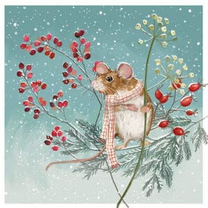 Wrapped Up Warm