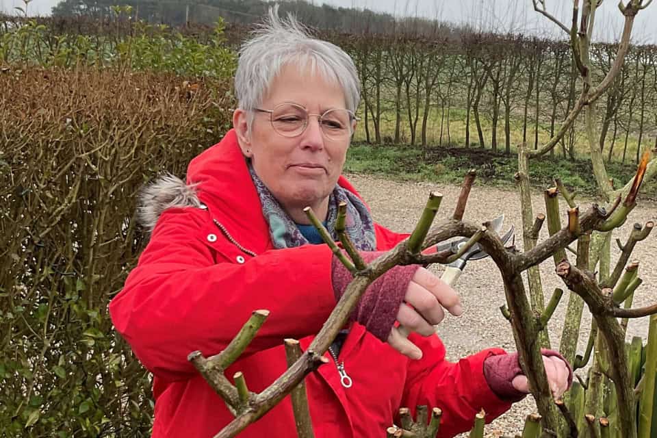 Julia gardening