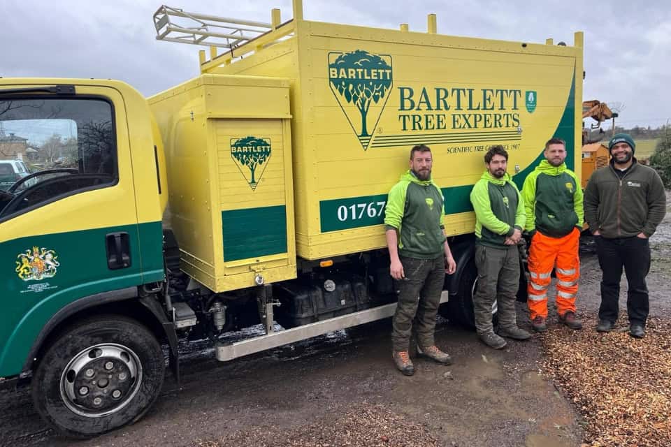 Bartlett Tree Experts