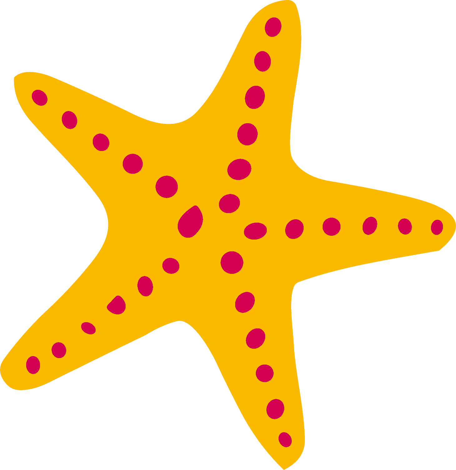 Shutterstock 2714252007 YEL STARFISH4